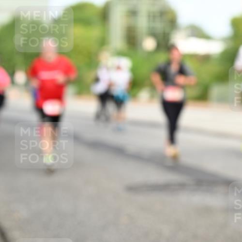 06.09.2026 - CURREX Alsterlauf Dr. Thomas Lammeyer http://msf.ph/oto/10140118 06.09.2026 10:07:38 Laufen  meine-sportfotos.de