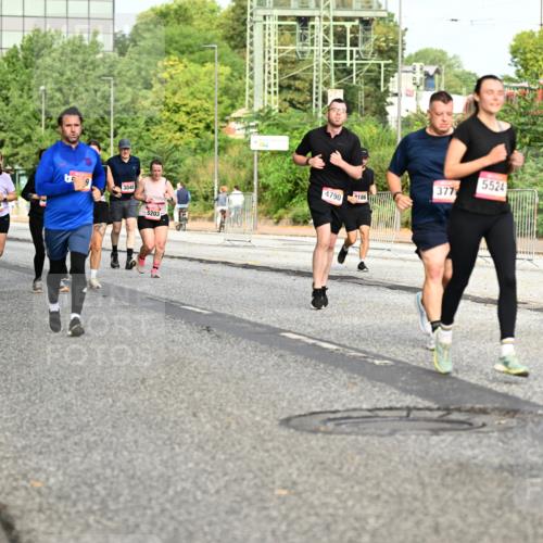 06.09.2026 - CURREX Alsterlauf Dr. Thomas Lammeyer http://msf.ph/oto/10140210 06.09.2026 10:07:54 Laufen 9, 3048, 2205, 4958, 5203, 5524, 377, 4790, 186 meine-sportfotos.de