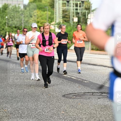 06.09.2026 - CURREX Alsterlauf Dr. Thomas Lammeyer http://msf.ph/oto/10140435 06.09.2026 10:08:18 Laufen 442, 37, 245, 3244 meine-sportfotos.de