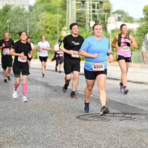 06.09.2026 - CURREX Alsterlauf Dr. Thomas Lammeyer http://msf.ph/oto/10140482 06.09.2026 10:08:25 Laufen 6239, 235, 2493, 3616, 6266, 4948, 5285, 57 meine-sportfotos.de