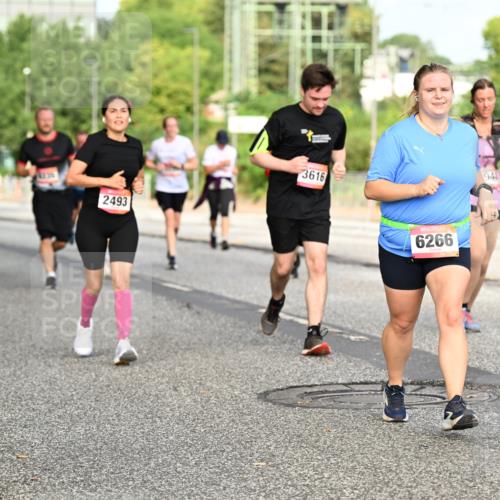 06.09.2026 - CURREX Alsterlauf Dr. Thomas Lammeyer http://msf.ph/oto/10140490 06.09.2026 10:08:26 Laufen 2493, 3616, 6266, 948 meine-sportfotos.de