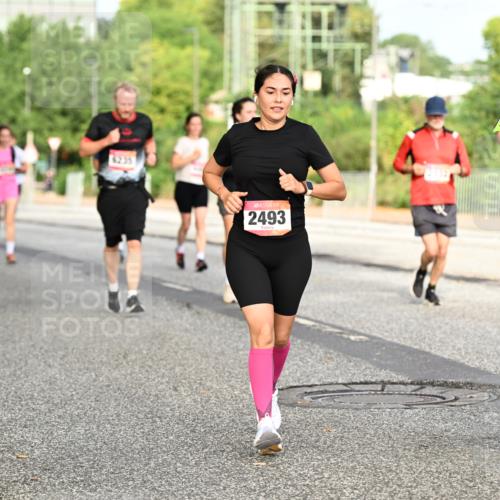 06.09.2026 - CURREX Alsterlauf Dr. Thomas Lammeyer http://msf.ph/oto/10140503 06.09.2026 10:08:28 Laufen 6235, 2493, 3616 meine-sportfotos.de