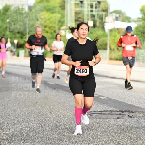 06.09.2026 - CURREX Alsterlauf Dr. Thomas Lammeyer http://msf.ph/oto/10140504 06.09.2026 10:08:28 Laufen 235, 2493, 36 meine-sportfotos.de
