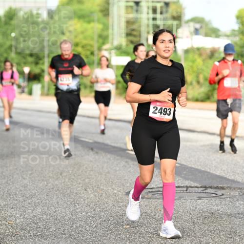 06.09.2026 - CURREX Alsterlauf Dr. Thomas Lammeyer http://msf.ph/oto/10140508 06.09.2026 10:08:28 Laufen 2493 meine-sportfotos.de