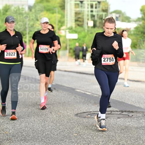 06.09.2026 - CURREX Alsterlauf Dr. Thomas Lammeyer http://msf.ph/oto/10140639 06.09.2026 10:08:42 Laufen 2822, 5809, 2750 meine-sportfotos.de