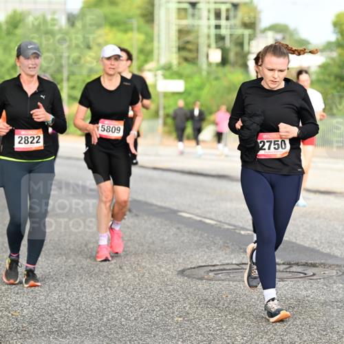 06.09.2026 - CURREX Alsterlauf Dr. Thomas Lammeyer http://msf.ph/oto/10140640 06.09.2026 10:08:42 Laufen 2822, 5809, 2750 meine-sportfotos.de