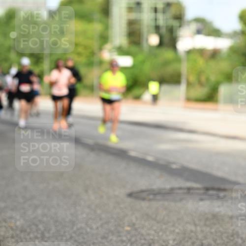06.09.2026 - CURREX Alsterlauf Dr. Thomas Lammeyer http://msf.ph/oto/10140762 06.09.2026 10:08:56 Laufen  meine-sportfotos.de