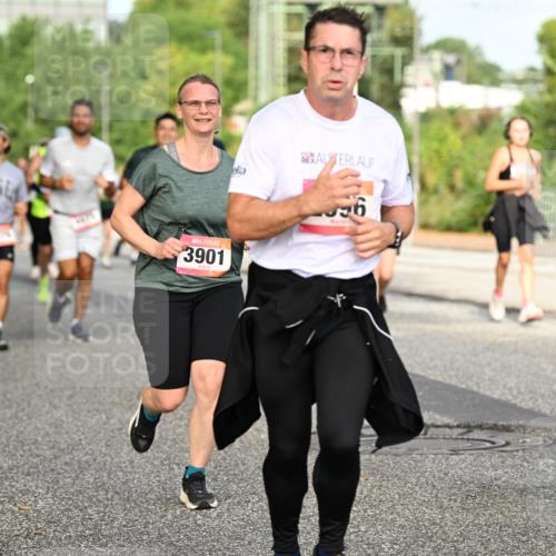 06.09.2026 - CURREX Alsterlauf Dr. Thomas Lammeyer http://msf.ph/oto/10140819 06.09.2026 10:09:03 Laufen 3901, 556, 2215 meine-sportfotos.de