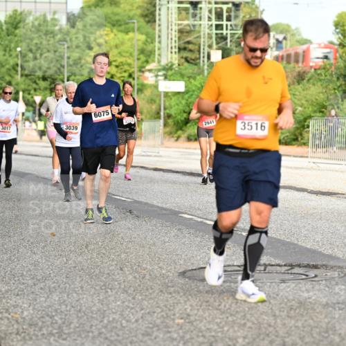06.09.2026 - CURREX Alsterlauf Dr. Thomas Lammeyer http://msf.ph/oto/10141077 06.09.2026 10:09:34 Laufen 4596, 3017, 3039, 6075, 3558, 2941, 3516 meine-sportfotos.de