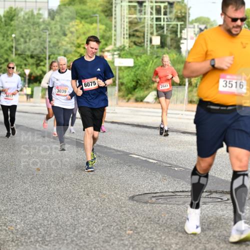 06.09.2026 - CURREX Alsterlauf Dr. Thomas Lammeyer http://msf.ph/oto/10141082 06.09.2026 10:09:34 Laufen 3017, 505, 3039, 6075, 2941, 3516 meine-sportfotos.de