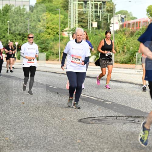 06.09.2026 - CURREX Alsterlauf Dr. Thomas Lammeyer http://msf.ph/oto/10141101 06.09.2026 10:09:37 Laufen 3494, 4595, 4596, 3017, 3039, 3558, 6075 meine-sportfotos.de