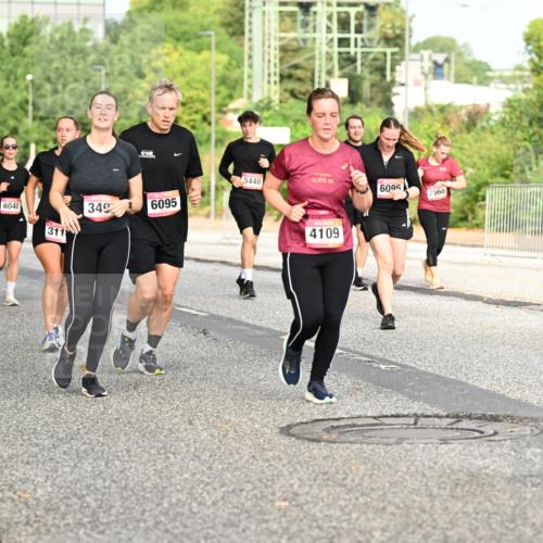 06.09.2026 - CURREX Alsterlauf Dr. Thomas Lammeyer http://msf.ph/oto/10141169 06.09.2026 10:09:44 Laufen 2384, 8040, 311, 5440, 349, 6095, 21, 0975, 6096, 4109, 2560 meine-sportfotos.de