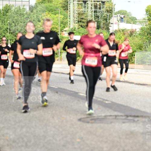 06.09.2026 - CURREX Alsterlauf Dr. Thomas Lammeyer http://msf.ph/oto/10141171 06.09.2026 10:09:44 Laufen 43, 4 meine-sportfotos.de