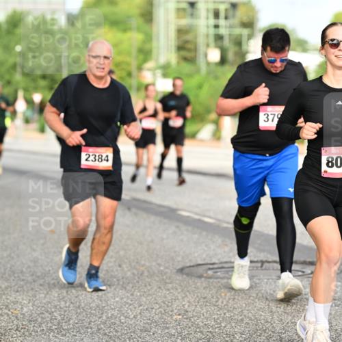 06.09.2026 - CURREX Alsterlauf Dr. Thomas Lammeyer http://msf.ph/oto/10141201 06.09.2026 10:09:50 Laufen 2384, 379, 8040 meine-sportfotos.de