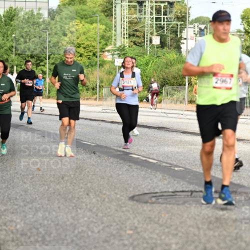 06.09.2026 - CURREX Alsterlauf Dr. Thomas Lammeyer http://msf.ph/oto/10141244 06.09.2026 10:09:55 Laufen 3510, 2967, 3121, 643 meine-sportfotos.de