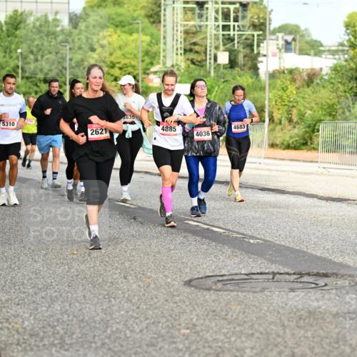 06.09.2026 - CURREX Alsterlauf Dr. Thomas Lammeyer http://msf.ph/oto/10141403 06.09.2026 10:10:12 Laufen 6015, 6289, 5310, 3630, 2621, 4885, 4683, 4036, 3864 meine-sportfotos.de