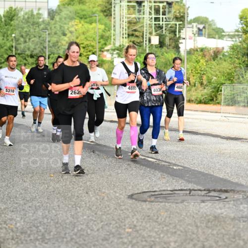 06.09.2026 - CURREX Alsterlauf Dr. Thomas Lammeyer http://msf.ph/oto/10141405 06.09.2026 10:10:12 Laufen 262, 6289, 5310, 6015, 363, 4885, 4036, 4683 meine-sportfotos.de