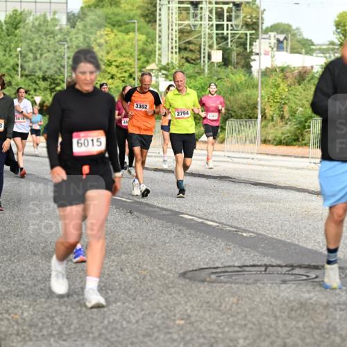 06.09.2026 - CURREX Alsterlauf Dr. Thomas Lammeyer http://msf.ph/oto/10141456 06.09.2026 10:10:19 Laufen 5616, 5255, 549, 4488, 6015, 445, 3302, 2794, 5363, 628 meine-sportfotos.de