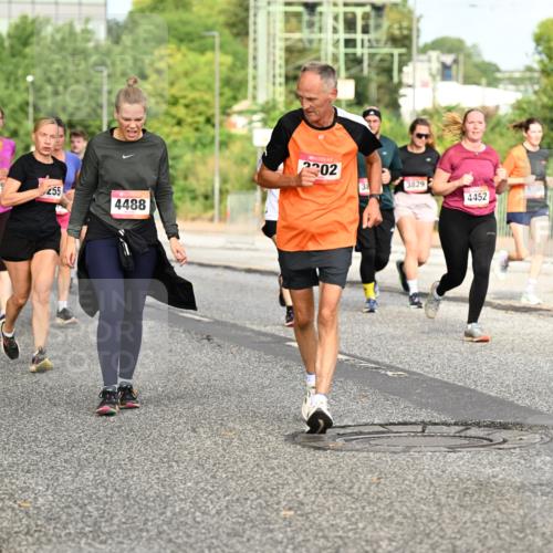 06.09.2026 - CURREX Alsterlauf Dr. Thomas Lammeyer http://msf.ph/oto/10141490 06.09.2026 10:10:23 Laufen 6158, 5475, 255, 4488, 2302, 38, 3829, 5363, 4452, 2794 meine-sportfotos.de