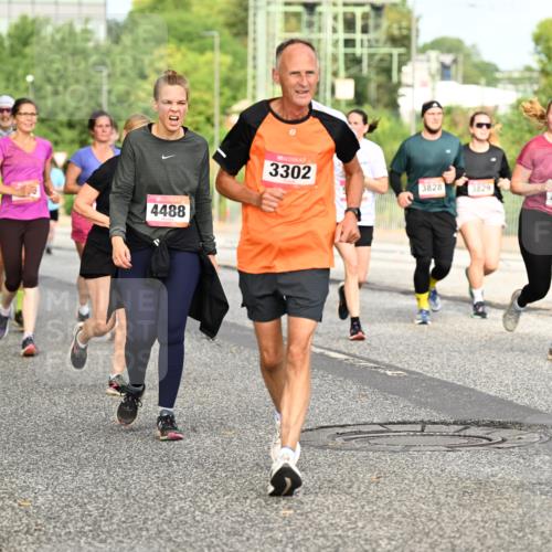 06.09.2026 - CURREX Alsterlauf Dr. Thomas Lammeyer http://msf.ph/oto/10141499 06.09.2026 10:10:23 Laufen 58, 4488, 3302, 3828, 3829, 363, 4452 meine-sportfotos.de