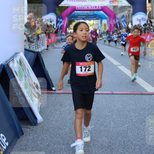 06.09.2026 - CURREX Alsterlauf Strokosch-Dieckow http://msf.ph/oto/10141536 06.09.2026 10:53:58 Ziel 157, 172, 177, 185, 195, 203, 208, 216, 218, 221, 243, 292, 302, 320, 334, 362, 404, 414, 418, 443, 8101, 8196, 8221, 8252 meine-sportfotos.de