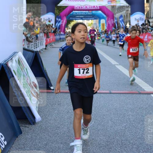 06.09.2026 - CURREX Alsterlauf Strokosch-Dieckow http://msf.ph/oto/10141542 06.09.2026 10:53:58 Ziel 157, 172, 177, 185, 195, 203, 208, 216, 218, 221, 243, 292, 302, 320, 334, 362, 404, 414, 418, 443, 8101, 8196, 8221, 8252 meine-sportfotos.de