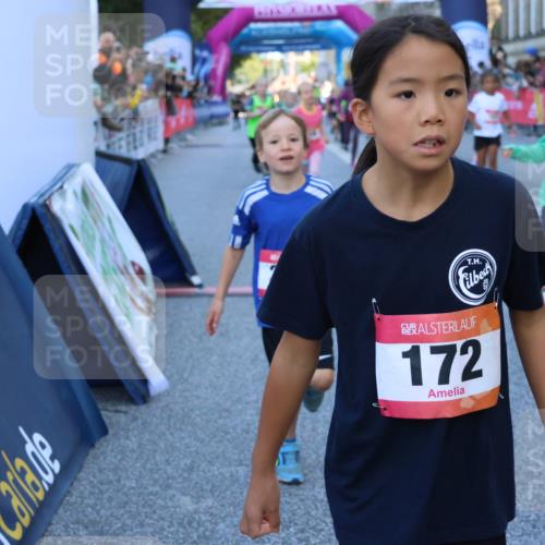 06.09.2026 - CURREX Alsterlauf Strokosch-Dieckow http://msf.ph/oto/10141554 06.09.2026 10:54:00 Ziel 157, 172, 185, 195, 203, 208, 216, 218, 221, 243, 292, 296, 302, 320, 334, 364, 379, 414, 418, 443, 8101 meine-sportfotos.de