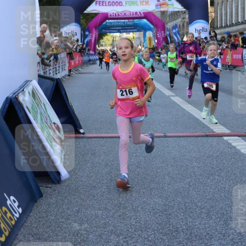 06.09.2026 - CURREX Alsterlauf Strokosch-Dieckow http://msf.ph/oto/10141561 06.09.2026 10:54:02 Ziel 157, 172, 195, 202, 203, 216, 218, 221, 243, 256, 260, 292, 296, 302, 321, 334, 364, 379, 414, 418, 443 meine-sportfotos.de