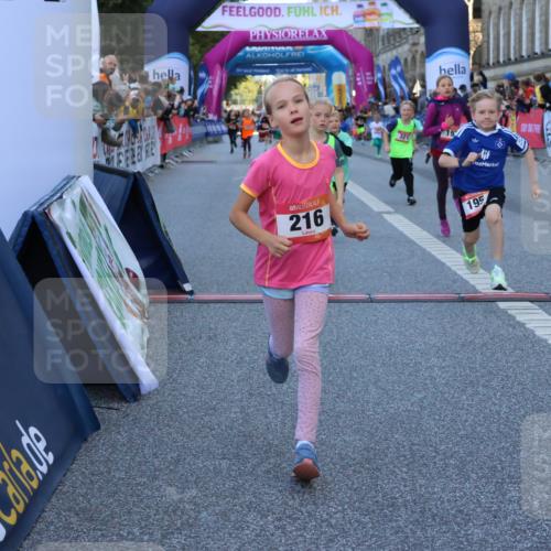 06.09.2026 - CURREX Alsterlauf Strokosch-Dieckow http://msf.ph/oto/10141589 06.09.2026 10:54:03 Ziel 157, 172, 195, 201, 202, 203, 216, 218, 221, 243, 256, 260, 292, 296, 302, 321, 364, 379, 414, 418, 443 meine-sportfotos.de