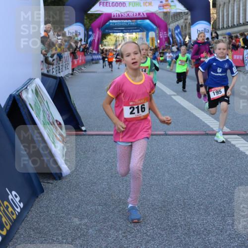 06.09.2026 - CURREX Alsterlauf Strokosch-Dieckow http://msf.ph/oto/10141594 06.09.2026 10:54:03 Ziel 157, 172, 195, 201, 202, 203, 216, 218, 221, 243, 256, 260, 292, 296, 302, 321, 364, 379, 414, 418, 443 meine-sportfotos.de