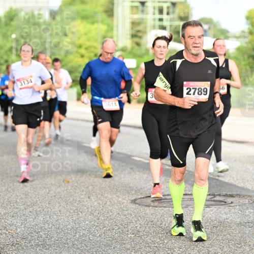 06.09.2026 - CURREX Alsterlauf Dr. Thomas Lammeyer http://msf.ph/oto/10141671 06.09.2026 10:10:43 Laufen 3134, 3614, 3, 2789, 66 meine-sportfotos.de