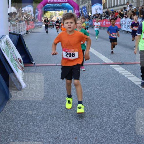 06.09.2026 - CURREX Alsterlauf Strokosch-Dieckow http://msf.ph/oto/10141679 06.09.2026 10:54:07 Ziel 157, 195, 201, 202, 203, 216, 218, 221, 256, 258, 260, 276, 296, 312, 321, 347, 364, 379, 414, 416, 446, 455, 8253 meine-sportfotos.de