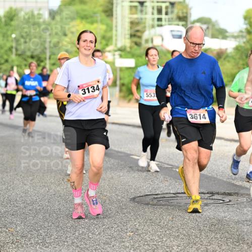 06.09.2026 - CURREX Alsterlauf Dr. Thomas Lammeyer http://msf.ph/oto/10141682 06.09.2026 10:10:45 Laufen 3134, 553, 45, 3614, 3023 meine-sportfotos.de