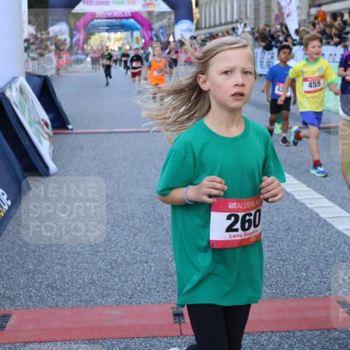 06.09.2026 - CURREX Alsterlauf Strokosch-Dieckow http://msf.ph/oto/10141705 06.09.2026 10:54:10 Ziel 157, 195, 201, 202, 206, 256, 258, 260, 276, 283, 296, 300, 312, 321, 347, 364, 379, 414, 416, 446, 455, 8113, 8253 meine-sportfotos.de