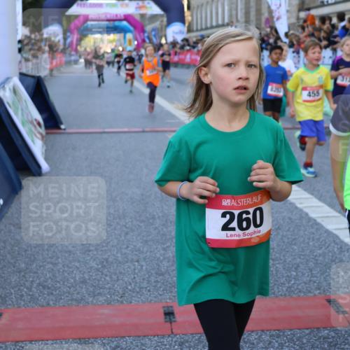 06.09.2026 - CURREX Alsterlauf Strokosch-Dieckow http://msf.ph/oto/10141709 06.09.2026 10:54:10 Ziel 157, 195, 201, 202, 206, 256, 258, 260, 276, 283, 296, 300, 312, 321, 347, 364, 379, 414, 416, 446, 455, 8113, 8253 meine-sportfotos.de