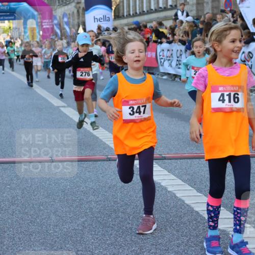 06.09.2026 - CURREX Alsterlauf Strokosch-Dieckow http://msf.ph/oto/10141721 06.09.2026 10:54:12 Ziel 201, 202, 206, 256, 258, 260, 270, 276, 283, 296, 300, 312, 321, 347, 364, 416, 417, 436, 440, 446, 449, 455, 8113, 8174, 8253 meine-sportfotos.de