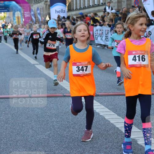 06.09.2026 - CURREX Alsterlauf Strokosch-Dieckow http://msf.ph/oto/10141727 06.09.2026 10:54:12 Ziel 201, 202, 206, 256, 258, 260, 270, 276, 283, 296, 300, 312, 321, 347, 364, 416, 417, 436, 440, 446, 449, 455, 8113, 8174, 8253 meine-sportfotos.de
