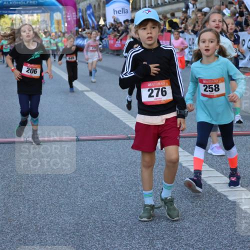 06.09.2026 - CURREX Alsterlauf Strokosch-Dieckow http://msf.ph/oto/10141737 06.09.2026 10:54:14 Ziel 201, 206, 238, 258, 260, 264, 270, 276, 283, 300, 312, 347, 399, 416, 417, 436, 440, 446, 449, 455, 8113, 8174, 8253 meine-sportfotos.de