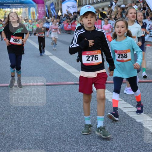 06.09.2026 - CURREX Alsterlauf Strokosch-Dieckow http://msf.ph/oto/10141742 06.09.2026 10:54:14 Ziel 201, 206, 238, 258, 260, 264, 270, 276, 283, 300, 312, 347, 399, 416, 417, 436, 440, 446, 449, 455, 8113, 8174, 8253 meine-sportfotos.de