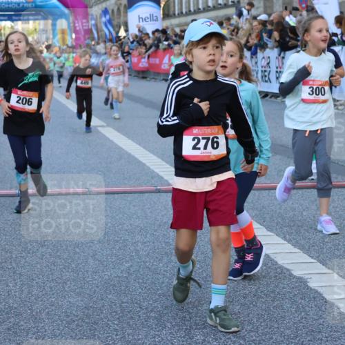 06.09.2026 - CURREX Alsterlauf Strokosch-Dieckow http://msf.ph/oto/10141761 06.09.2026 10:54:14 Ziel 201, 206, 238, 258, 260, 264, 270, 276, 283, 300, 312, 347, 399, 416, 417, 436, 440, 446, 449, 455, 8113, 8174, 8253 meine-sportfotos.de