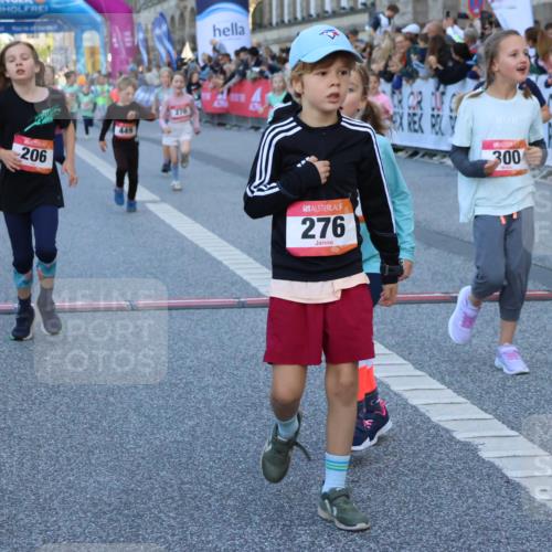 06.09.2026 - CURREX Alsterlauf Strokosch-Dieckow http://msf.ph/oto/10141766 06.09.2026 10:54:14 Ziel 201, 206, 238, 258, 260, 264, 270, 276, 283, 300, 312, 347, 399, 416, 417, 436, 440, 446, 449, 455, 8113, 8174, 8253 meine-sportfotos.de