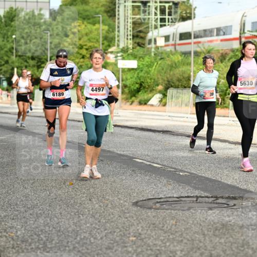 06.09.2026 - CURREX Alsterlauf Dr. Thomas Lammeyer http://msf.ph/oto/10141796 06.09.2026 10:10:57 Laufen 6332, 6189, 5632, 5630, 4497, 39 meine-sportfotos.de