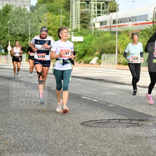 06.09.2026 - CURREX Alsterlauf Dr. Thomas Lammeyer http://msf.ph/oto/10141800 06.09.2026 10:10:57 Laufen 741, 32, 6332, 6081, 97, 6189, 5439 meine-sportfotos.de