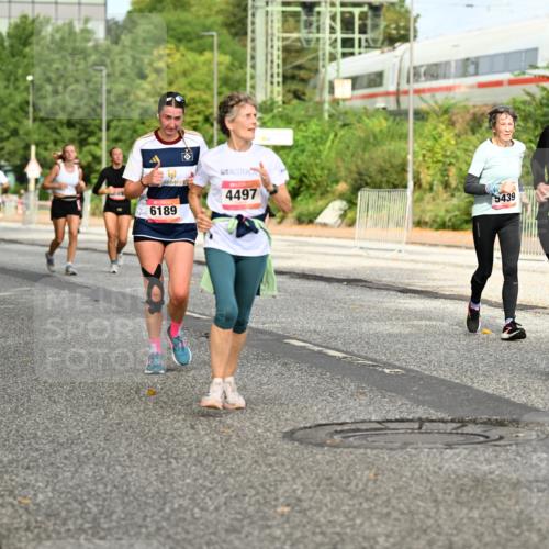 06.09.2026 - CURREX Alsterlauf Dr. Thomas Lammeyer http://msf.ph/oto/10141803 06.09.2026 10:10:57 Laufen 6332, 6189, 4497, 5439, 5630, 5632 meine-sportfotos.de
