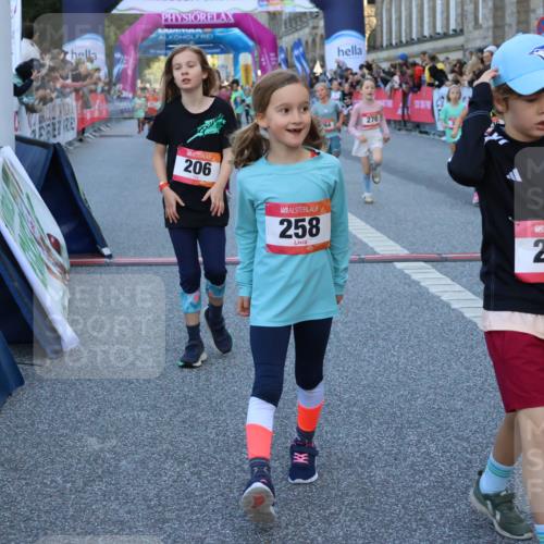06.09.2026 - CURREX Alsterlauf Strokosch-Dieckow http://msf.ph/oto/10141807 06.09.2026 10:54:16 Ziel 206, 238, 258, 264, 270, 276, 283, 300, 312, 347, 365, 399, 416, 417, 431, 436, 440, 444, 446, 449, 455, 8087, 8113, 8174, 8253 meine-sportfotos.de