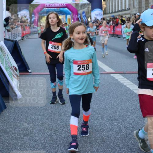 06.09.2026 - CURREX Alsterlauf Strokosch-Dieckow http://msf.ph/oto/10141811 06.09.2026 10:54:16 Ziel 206, 238, 258, 264, 270, 276, 283, 300, 312, 347, 365, 399, 416, 417, 431, 436, 440, 444, 446, 449, 455, 8087, 8113, 8174, 8253 meine-sportfotos.de
