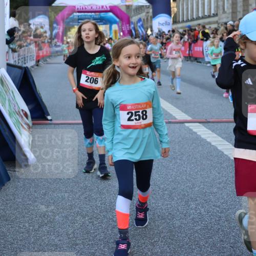 06.09.2026 - CURREX Alsterlauf Strokosch-Dieckow http://msf.ph/oto/10141816 06.09.2026 10:54:16 Ziel 206, 238, 258, 264, 270, 276, 283, 300, 312, 347, 365, 399, 416, 417, 431, 436, 440, 444, 446, 449, 455, 8087, 8113, 8174, 8253 meine-sportfotos.de