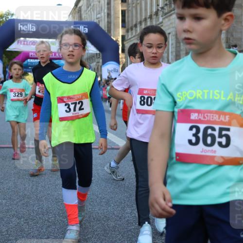 06.09.2026 - CURREX Alsterlauf Strokosch-Dieckow http://msf.ph/oto/10141820 06.09.2026 10:54:27 Ziel 162, 179, 207, 239, 240, 278, 284, 285, 304, 318, 326, 329, 333, 357, 361, 365, 372, 387, 390, 431, 444, 456, 8087, 8343 meine-sportfotos.de