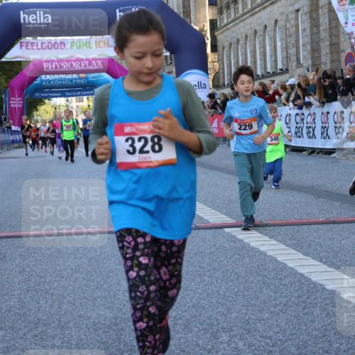 06.09.2026 - CURREX Alsterlauf Strokosch-Dieckow http://msf.ph/oto/10141947 06.09.2026 10:54:44 Ziel 212, 228, 229, 267, 328, 340, 345, 359, 382, 457 meine-sportfotos.de