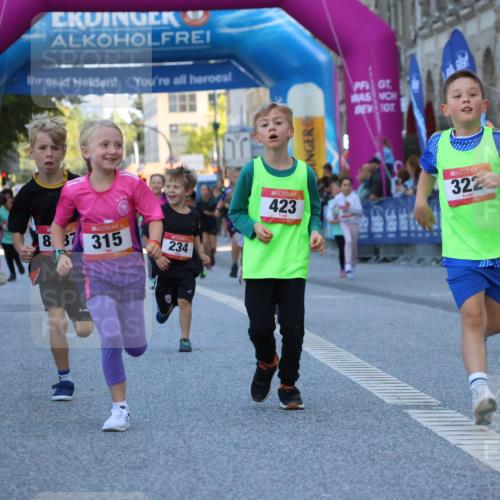 06.09.2026 - CURREX Alsterlauf Strokosch-Dieckow http://msf.ph/oto/10141959 06.09.2026 10:54:49 Ziel 229, 234, 315, 322, 328, 340, 345, 359, 382, 398, 423, 8287 meine-sportfotos.de